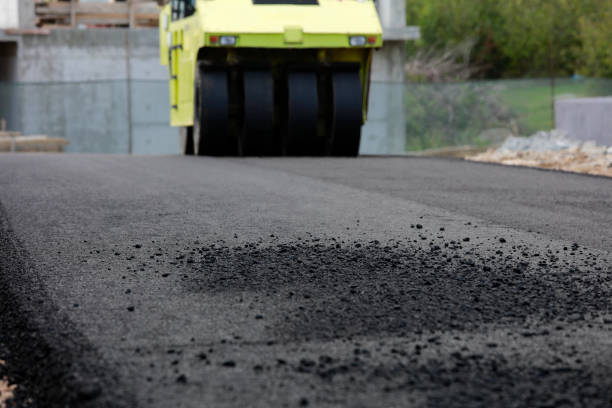 Best Driveway Pavers Near Me  in Gardnerville Ranchos, NV