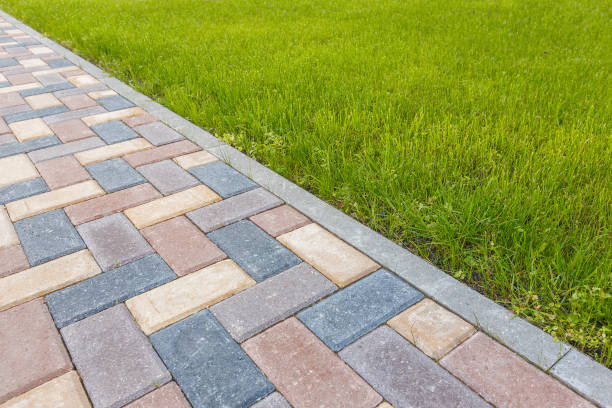 Best Driveway Paving Contractor  in Gardnerville Ranchos, NV